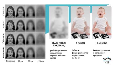 Дети на передовой: как малыши возвращают порядок, когда взрослые теряют опору