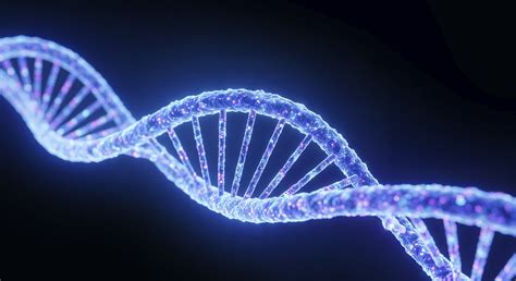 Как ДНК влияет на наше здоровье: взгляд Минздрава Новосибирской области