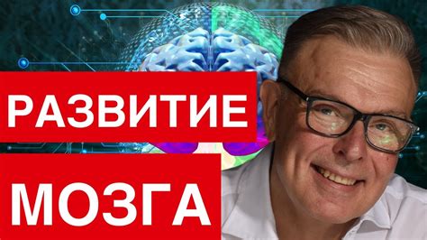 Как мозг шепчет о забытом: новые следы утраченных воспоминаний