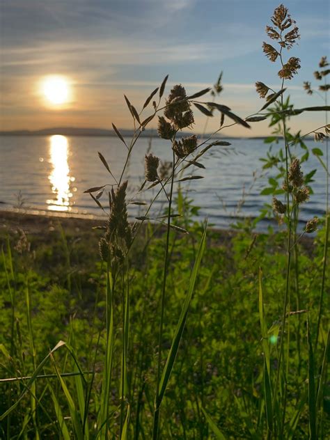 Как выглядят астраханские просторы через объектив волгоградского смартфона