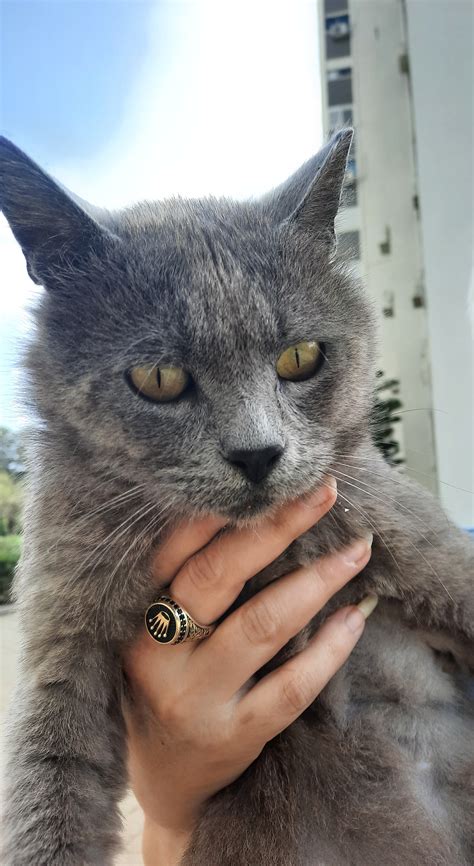 Когда лучше заводить ребёнка: мнение ярославского специалиста