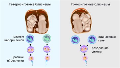 Когда жизнь начинается раньше срока: история спасения близнецов из Наро-Фоминска