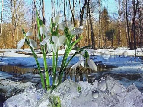 Кому 22 марта откроет сердце: любовные порывы на пороге весны