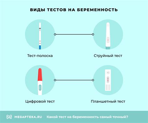 Новый взгляд на беременность: как клеточный атлас помогает понять риски