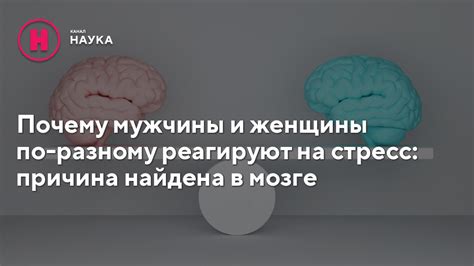 Почему мужчины и женщины видят красоту по-разному: взгляд Станислава Дробышевского