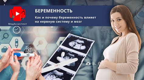 Почему вторая беременность преобразует мозг женщины сильнее первой