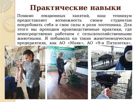 Психология в центре города: открытые лекции и практические навыки в Ростове-на-Дону