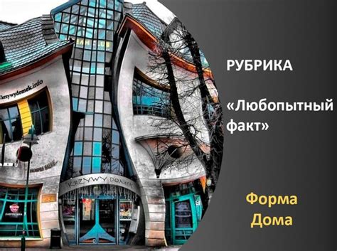 Загадка красоты: как праздник меняет настроение города