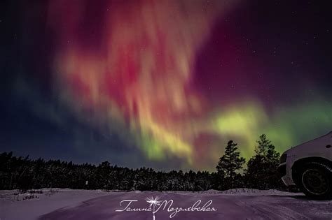 Загадочное небо: как петербуржцы и жители Ленобласти наблюдали полярное сияние
