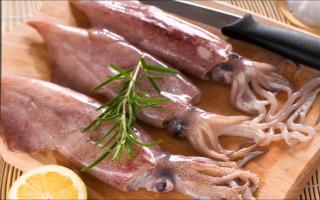 طرز پخت ماهی مرکب منجمد