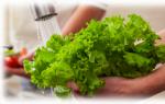 Cum se păstrează salata verde proaspătă la frigider Păstrați salata verde la frigider