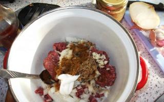 Tatar belyashi - mga recipe na ipinasa mula sa henerasyon hanggang sa henerasyon